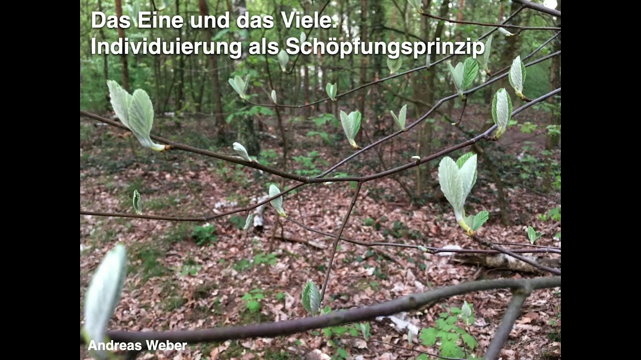 Video-Thumbnail von YouTube