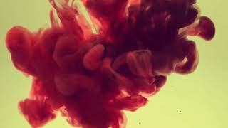 New Death Sensation-Acid Bath (cover)