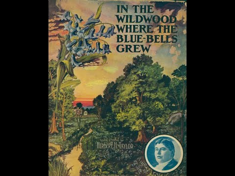 "In The Wildwood Where The Blue Bells Grew" Byron G. Harlan & Frank C. Stanley, 1907 Edison cylinder
