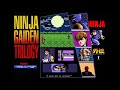 Act 2 2 Rugged Terrain NG1 Ninja Gaiden Trilogy OST Extended