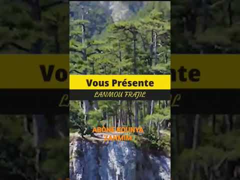 LANMOU   FRAJIL /  SERI  #8