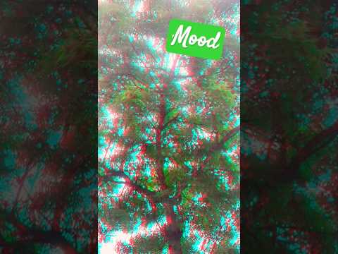 pittal song 🎵   music by pittal in mp || #song #music #dhanraj #nature #djsong #djremix