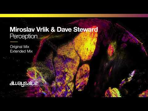 Miroslav Vrlik & Dave Steward - Perception