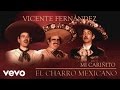 Vicente Fernández - Mi Cariñito (Cover Audio)