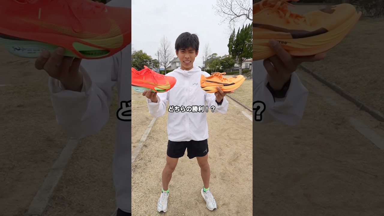 アルファフライ3 VS ファストアール3【個人的な感想です】