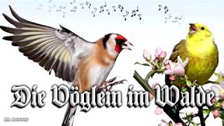 Die Vöglein im Walde [German folk song][+English translation]