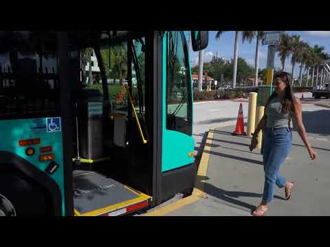 Palm Train Schedule