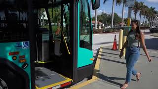 How to Ride Palm Tran