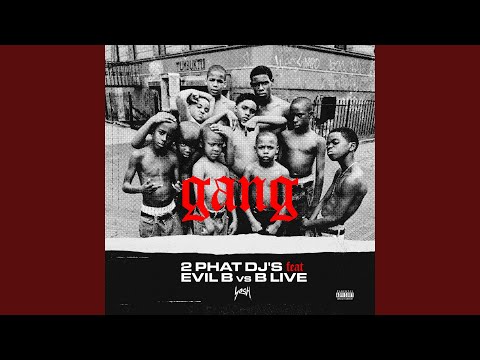 Gang (feat. Evil B vs B Live)