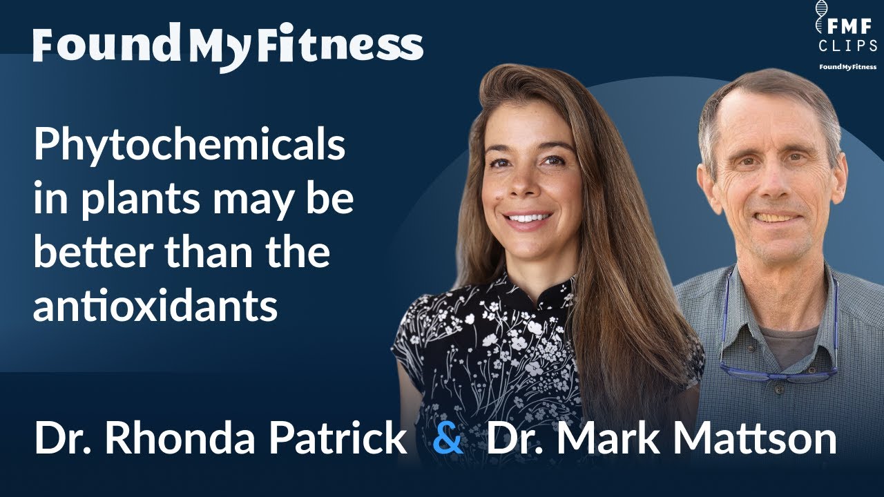 Why the phytochemicals in plants may be better than the antioxidants | Dr. Mark Mattson