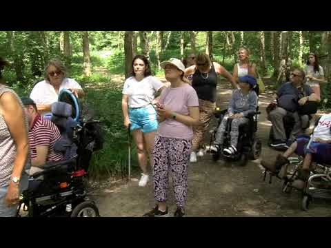 Jubilee Sensory Walk 3, High Beach, Epping Forest, Essex