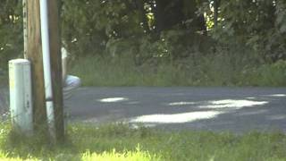 Girls Riding Electric Bikes