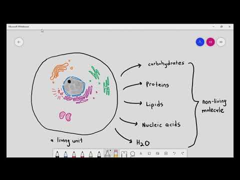 2-1 Introduction to Cambridge AS & A Level Biology - Biological Molecules