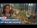 Nunspeet in de ban van de wolf: ‘Kinderen durven het bos niet meer in!’
