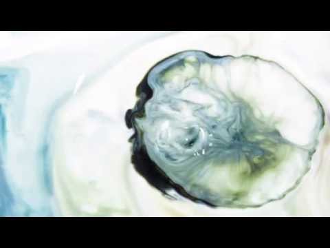 NO HUMAN CONTACT - INFECTION (OFFICIAL VIDEO)
