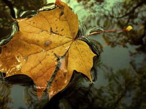 Dalia Kubiliūtė - Autumn (Ruduo). Music by A. Raudonikis