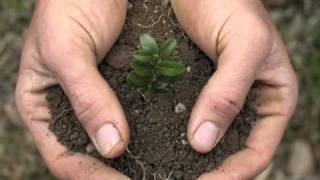 &quot;Seeds&quot; by Kathy Mattea