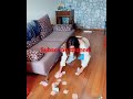 Hareem Shah Leak Video Hareem Shah Hot Video Hareem Shah Hot Boobs