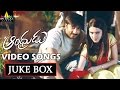 Andhrudu Video Songs Back To Back Gopichand Gowri Pandit Sri Balaji Video