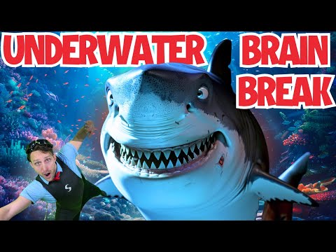 Summer Shark Escape 🦈 | Floor is Lava Game | Kids Underwater Treasure Hunt