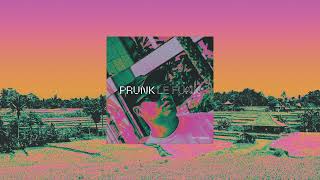 Prunk - Story Of House video