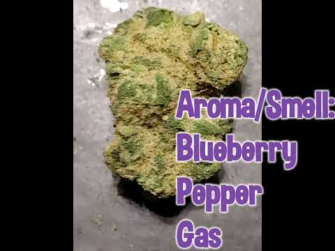 Glueberry OG (50/50 H) Strain Review-Budpedia