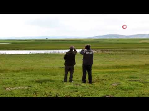 Yozgat’ta turnaların görsel şöleni havadan görüntülendi