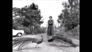 The Mountain Goats - Peacocks [Live]