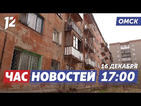 Переселение из аварийного жилья / Гуманитарная помощь / Спасли котёнка. Новости Омска