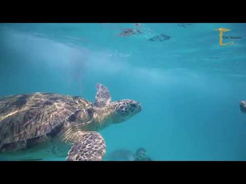 The Taaras Beach & Spa Resort