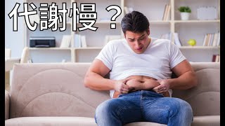 Re: [閒聊] 日本人愛吃碳水是怎麼瘦的？