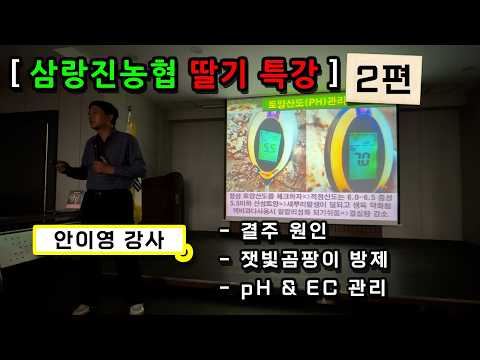 [경남 밀양] 딸기 생육 및 병충해 방지! 안이영 강사 딸기 특강(2편)