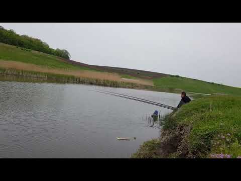 silistea vitanesti TR