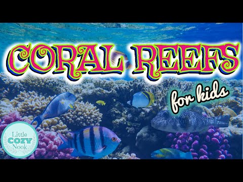 Coral Reef for Kids | Science for Kids
