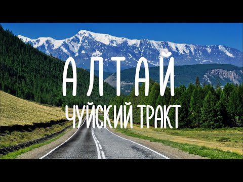 АЛТАЙ #6. Чуйский тракт самая красивая дорога России - Петроглифы Калбак-Таш - Гейзеровое озеро