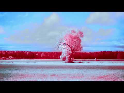 Angelo Draetta - Mambo By Night