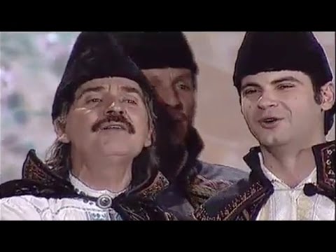 Liviu Vasilică şi grupul Teleormanul - Hai, hai cu trăsioara (Tezaur Folcloric)