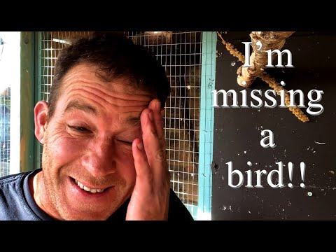 YouTube video about: How to keep mice out of a bird cage?