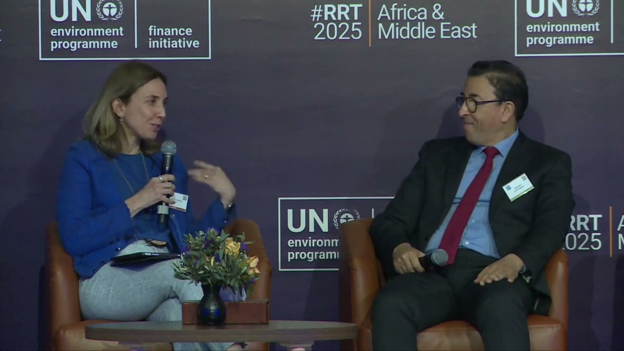 AME RRT 2025 - Unlocking private finance for the Sustainable Development Goals