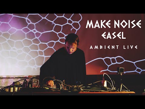 Make Noise Strega 0-Coast 0-Ctrl - Ambient Live