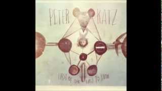The Fence - Peter Katz (lyrics video)