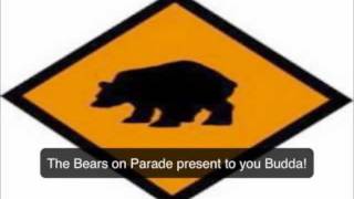 Bears on Parade- Budda