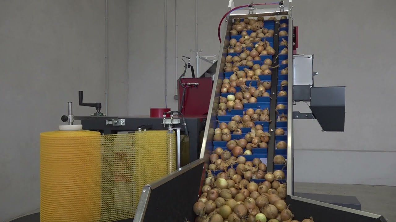 SORPAC AWRM02 multi-machine for weighing and packing of vegetables - wago-raszlownica, raszlownica