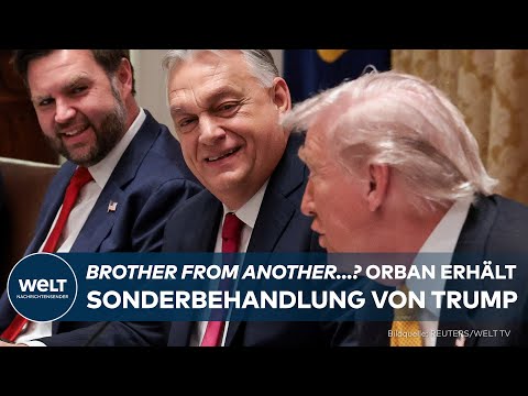 USA: Donald Trump und Viktor Orbán – Deal unter Freunden mit Folgen für Europas Energiepolitik