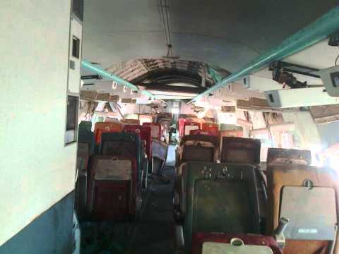 Safira Come Back - Longest Line (NoFX Cover)