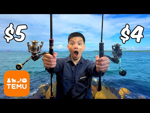 $100 Temu Fishing Challenge!