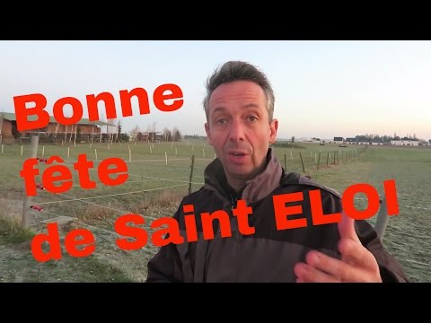 download lagu mp3 mp4 Saint Eloi Fete, download lagu Saint Eloi Fete gratis, unduh video klip Saint Eloi Fete