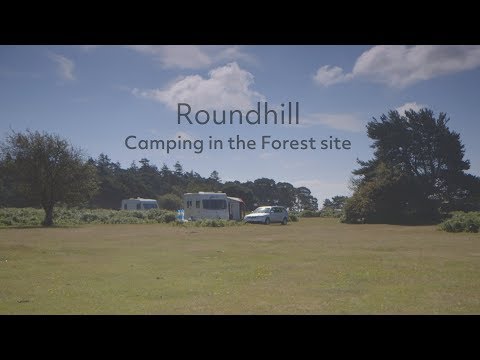 Roundhill Camping in the Forest site