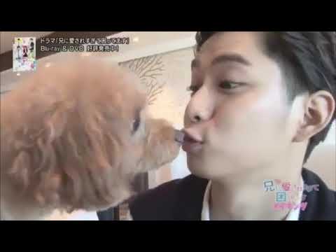 土屋太鳳主演！ 兄に愛されすぎて困ってます(兄こま) 片寄涼太ほか ドラマDVDメイキングダイジェスト