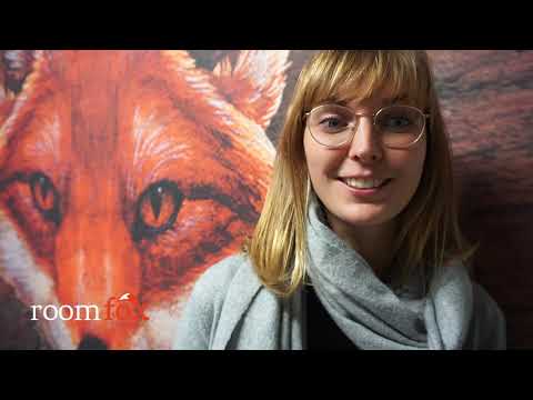 Was denken Gäste über Room Fox Osnabrück?